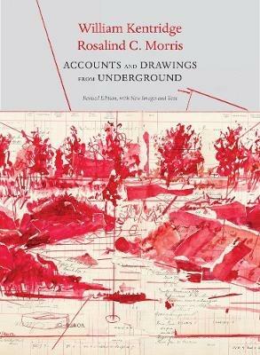 Accounts and Drawings from Underground: The East Rand Proprietary Mines Cash Book - William Kentridge,Rosalind C Morris - cover