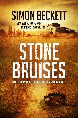 Stone Bruises - Simon Beckett - cover