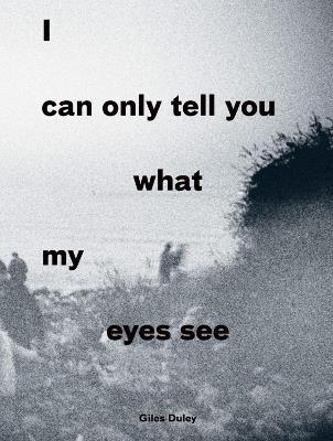I Can Only Tell You What My Eyes See - cover