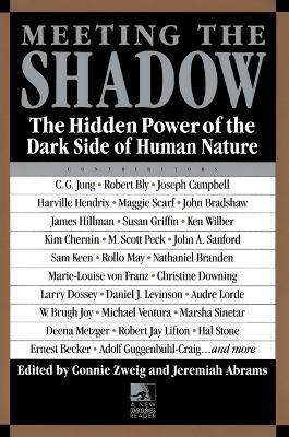 Meeting the Shadow: The Hidden Power of the Dark Side of Human Nature - Connie Zweig - cover