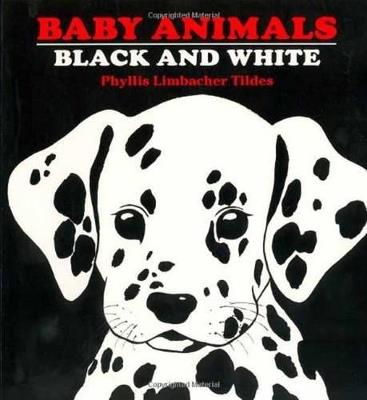 Baby Animals Black and White - Phyllis Limbacher Tildes - cover