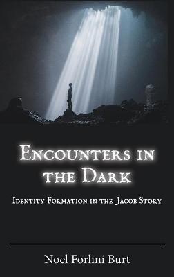 Encounters in the Dark: Identity Formation in the Jacob Story - Noel Forlini Burt - cover