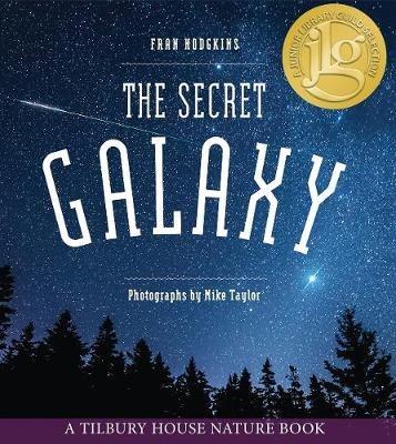 The Secret Galaxy - Fran Hodgkins - cover