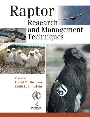 Raptor Research and Management Techniques - David M. Bird - cover