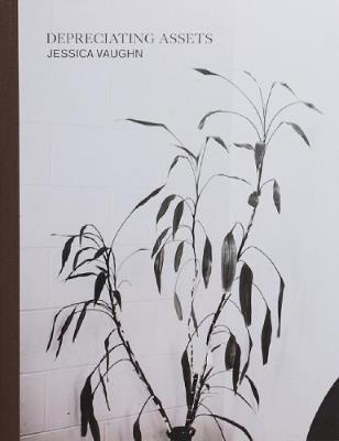 Depreciating Assets - Jessica Vaughn - cover