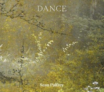 Sean Palfrey: Dance - cover