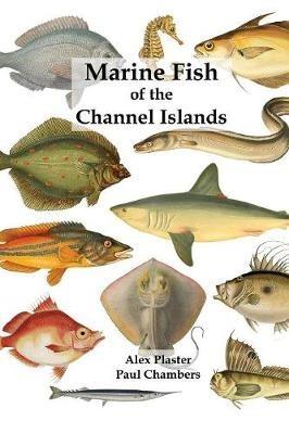 Marine Fish of the Channel Islands - Paul Chambers,Alex Plaster - cover