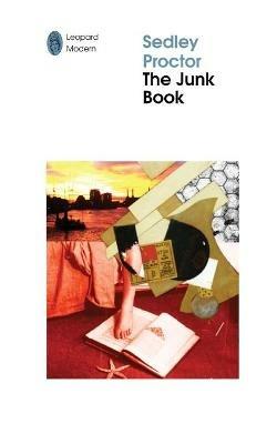 The Junk Book: Of Jimmy Quentin, poet maudit of the Q-tips: down and out in Nineties London - Sedley Proctor - cover