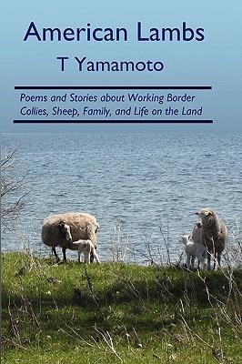 American Lambs: Poems and Stories About Working Border Collies, Sheep, Family, - T Yamamoto - cover