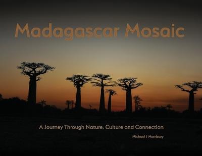 Madagascar Mosaic - A Journey Through Nature, Culture, and Connection - Michael J Morrissey - cover