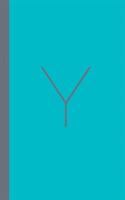 Y - Christian Millennial Manifesto: Addressing Our Strengths and Weaknesses to Advance the Kingdom of God