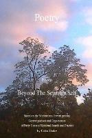 Poetry from Beyond the Separate Self - Colin Drake - cover