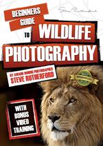 Beginners Guide to Wildlife Photography