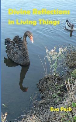 Divine Reflections in Living Things - Eva Peck - cover