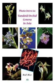 Photo Intro to: Vandoid Orchid Genera in Asia