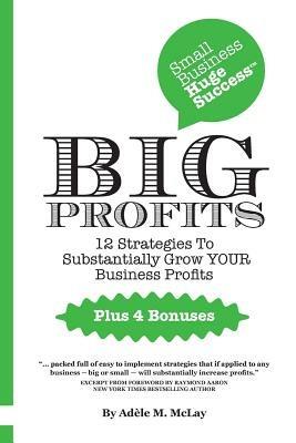 Small Business Huge Success - Big Profits!: 12 Strategies to Substantially Grow Your Business Profits - Adele M. McLay - cover