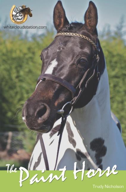 The Paint Horse - Trudy Nicholson - ebook