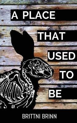 A Place That Used to Be - Brittni Brinn - cover