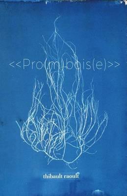 Pro(m)bois(e) - Thibault Raoult - cover