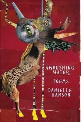 Ambushing Water - Danielle Hanson - cover