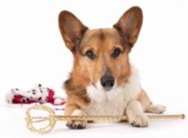 Sir Winston's LOOPHOLE...Leaps & Hounds - Linda S Churchwell - cover