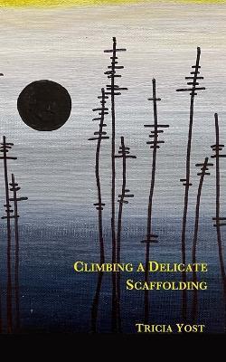 Climbing a Delicate Scaffolding - Tricia Yost - cover