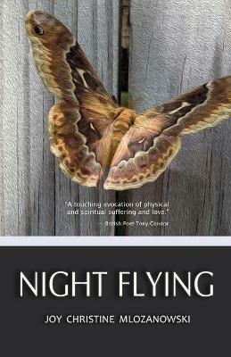 Night Flying - Joy Christine Mlozanowski - cover