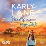Needle in a Haystack