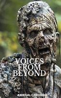 Voices From Beyond: Fiction Novel