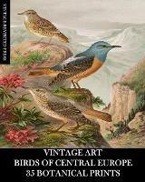 Libro in inglese Vintage Art: Birds of Central Europe: 35 Botanical Prints  - Vintage Revisited Press