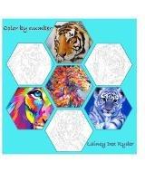 Color By Numbers - Lainey Dex Ryder - cover