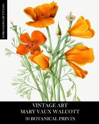 Vintage Art: Mary Vaux Walcott 30 Botanical Prints - Vintage Revisited Press - cover