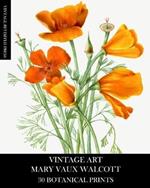Vintage Art: Mary Vaux Walcott 30 Botanical Prints