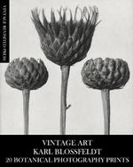 Vintage Art: Karl Blossfeldt 20 Botanical Photography Prints