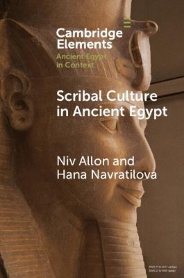 Scribal Culture in Ancient Egypt - Niv Allon,Hana Navratilova - cover