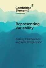 Representing Variability: How Do We Process the Heterogeneity in the Visual Environment?