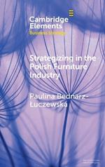 Strategizing in the Polish Furniture Industry