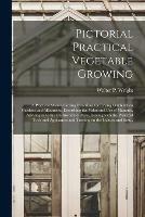 Pictorial Practical Vegetable Growing; a Practical Manual Giving Directions for Laying out Kitchen Gardens and Allotments, Describing the Value and Use of Manures, Advising as to the Destruction of Pests, Dealing With the Principal Tools and Appliances... - cover