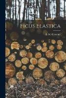 Libro in inglese Ficus Elastica 