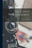 Libro in inglese Gelatin in Photography 