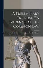 A Preliminary Treatise On Evidence at the Common Law