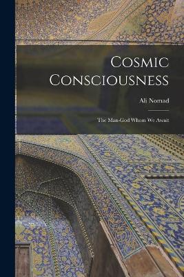Cosmic Consciousness: The Man-God Whom We Await - Ali Nomad - cover