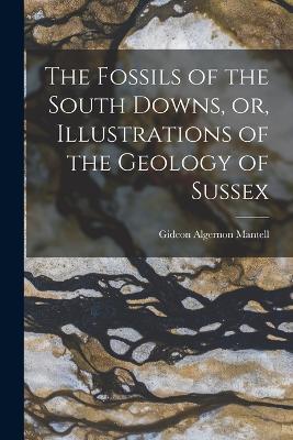 The Fossils of the South Downs, or, Illustrations of the Geology of Sussex - cover