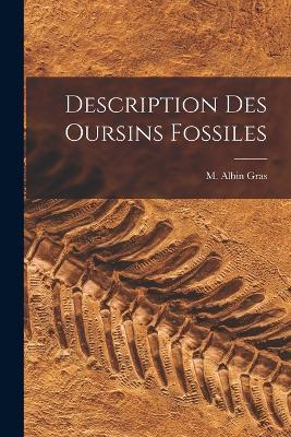 Description Des Oursins Fossiles - M Albin Gras - cover