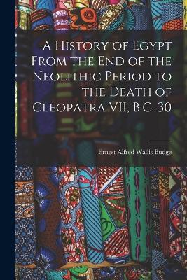 A History of Egypt From the End of the Neolithic Period to the Death of Cleopatra VII, B.C. 30 - Ernest Alfred Wallis Budge - cover