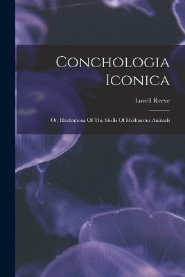 Conchologia Iconica: Or, Illustrations Of The Shells Of Molluscous Animals - Lovell Reeve - cover