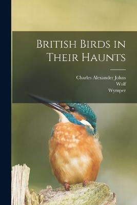 British Birds in Their Haunts - Charles Alexander Johns,Wolf,Wymper - cover