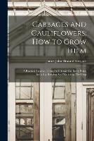 Cabbages and Cauliflowers: How to Grow Them: A Practical Treatise, Giving Full Details On Every Point, Including Keeping And Marketing The Crop