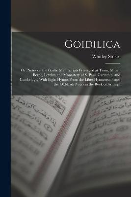 Goidilica; or, Notes on the Gaelic Manuscripts Preserved at Turin, Milan, Berne, Leyden, the Monastery of S. Paul, Carinthia, and Cambridge, With Eight Hymns From the Liber Hymnorum, and the Old-Irish Notes in the Book of Armagh - Whitley Stokes - cover