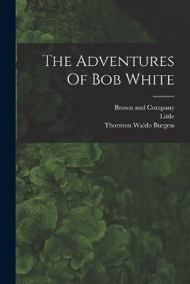 The Adventures Of Bob White - Thornton Waldo Burgess,Little - cover